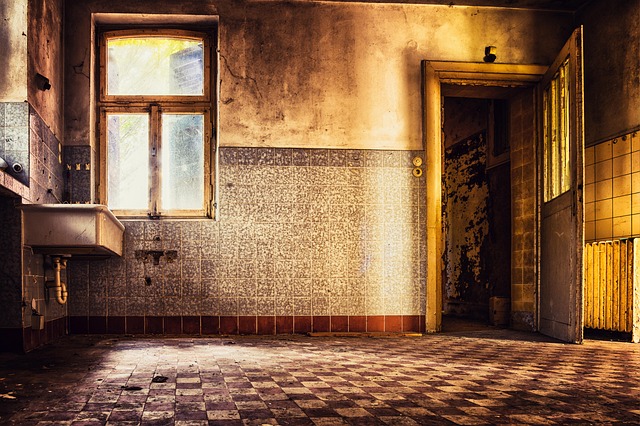 profesionální vyklízení